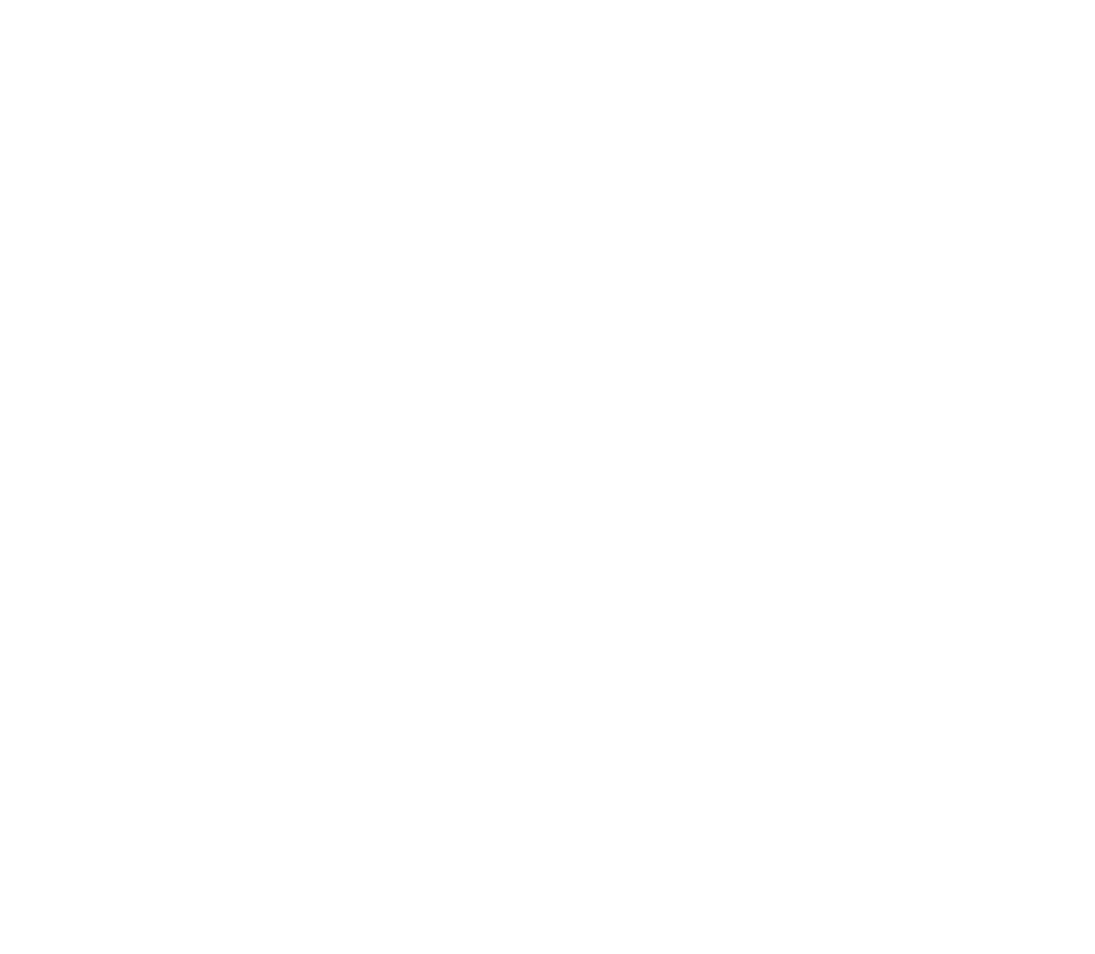logo-fuifje-goes